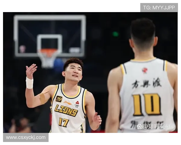 北京篮球队实力对比深度解析：各队优劣势及未来发展趋势探讨