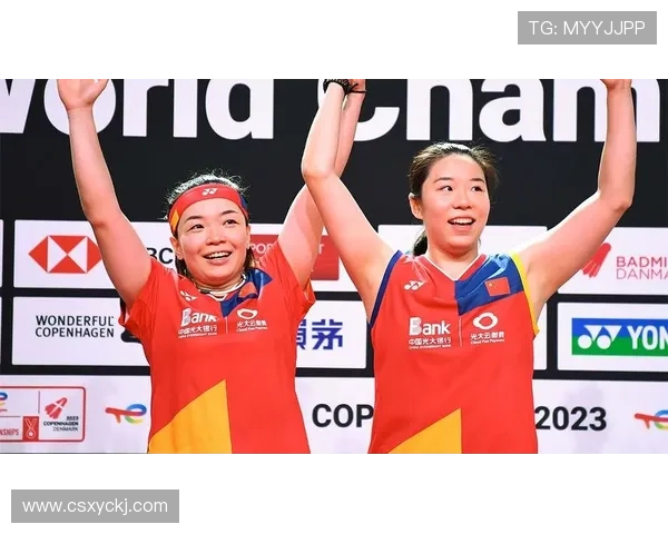 南京西安羽毛球队赛后复盘战术分析与精彩瞬间回顾