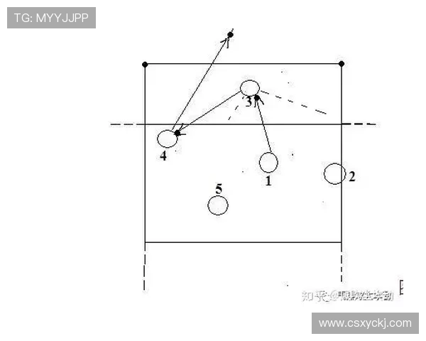 广州排球队进攻战术深度解析与实战应用探讨