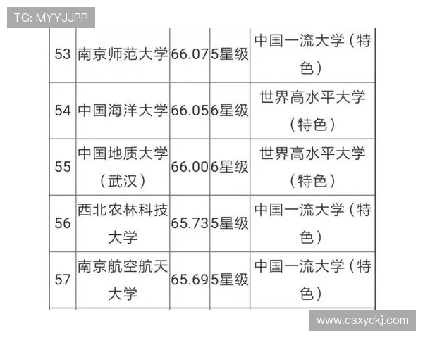 武汉排球队实力对比深度解析与未来发展展望 武汉排球队实力对比深度解析与未来发展展望